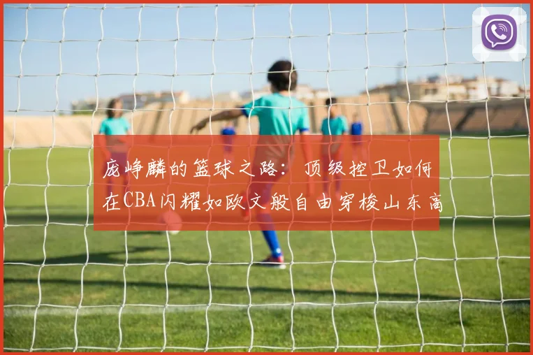 庞峥麟的篮球之路：顶级控卫如何在CBA闪耀如欧文般自由穿梭山东高速