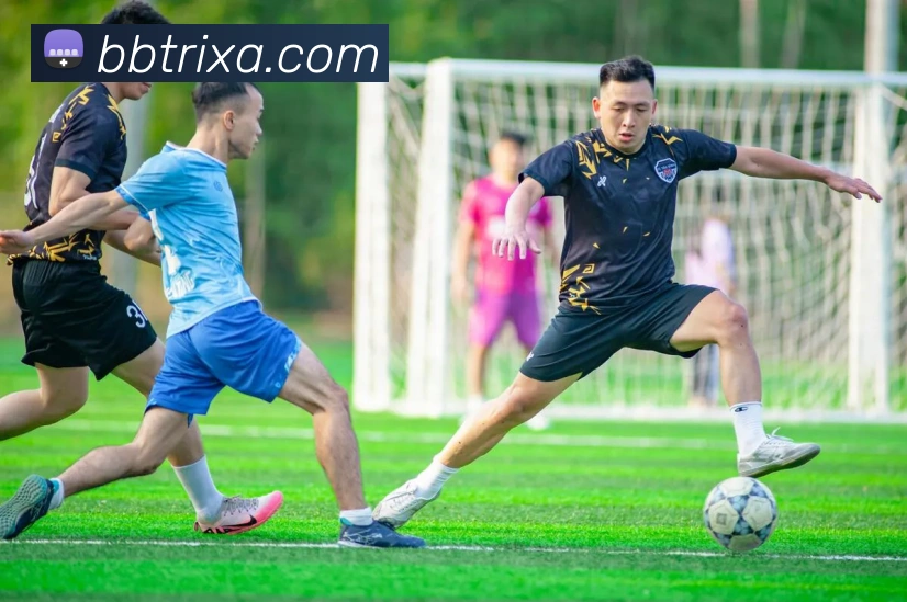 BB体育APP 高清赛事图